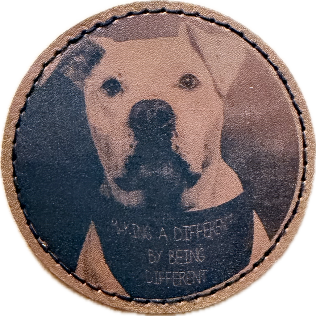 Round or Rectangular Iron on Patch 2" (leatherette)